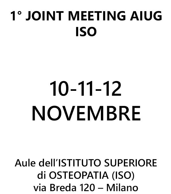1° JOINT MEETING AIUG – ISO