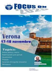 Focus On Verona